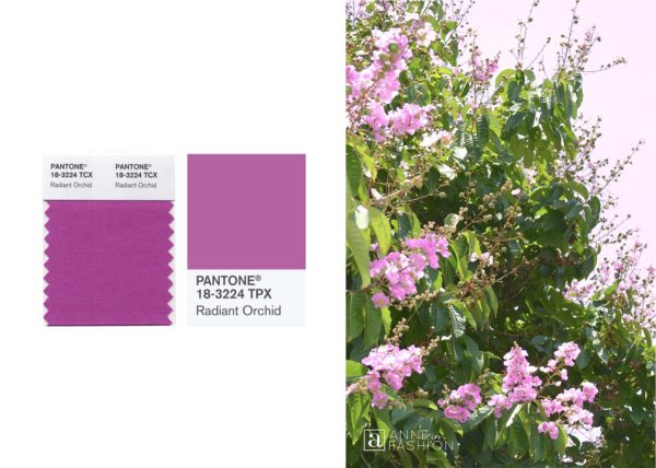 How Does Radiant Orchid Spark Your Imagination ANNE IN FASHION   Radiant Orchid Pantone Swatches And Flowers 600x428 